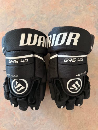 Warrior Covert QR5 40 Gloves 10" (Used)