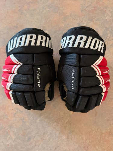 Warrior Alpha DX4 Gloves 10" (Used)