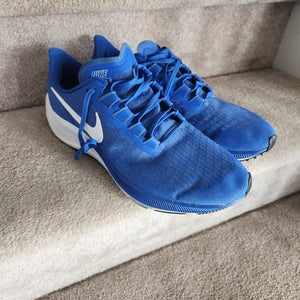 Blue Men's Size M 11.5 (W 12.5) Adult Nike Pegasus 37 Shoes (Used)