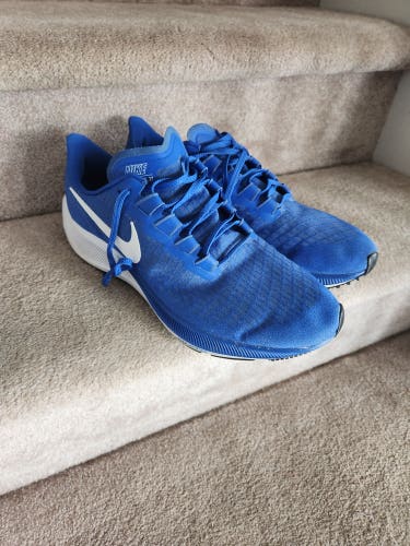 Blue Men's Size M 11.5 (W 12.5) Adult Nike Pegasus 37 Shoes (Used)