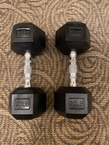 20 lb Dumbbells