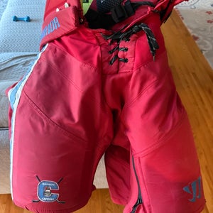 Senior Medium Warrior alpha Hockey Pants (Used)