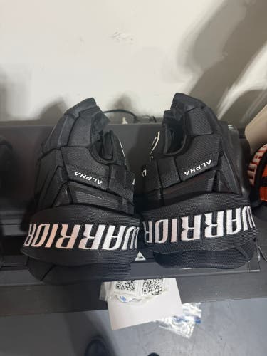 Warrior Gloves 14" (Used) LX3T