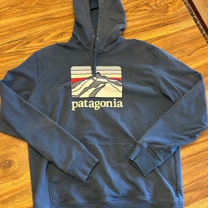 Patagonia Graphic Hoodie (Used)