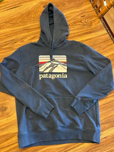 Patagonia Graphic Hoodie (Used)