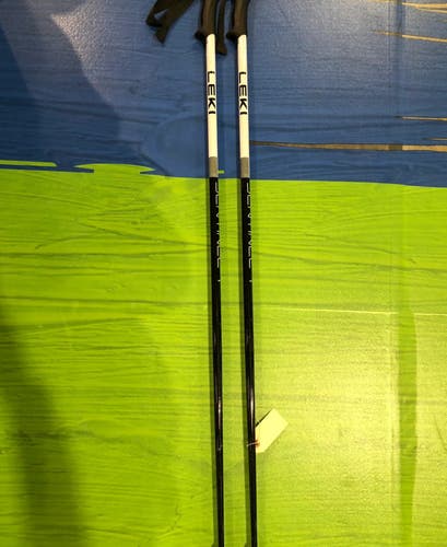 48in (120cm) Leki Sentinel All Mountain Ski Poles (Used)