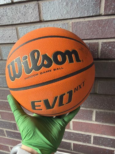 Men's Wilson Basketball (Used)