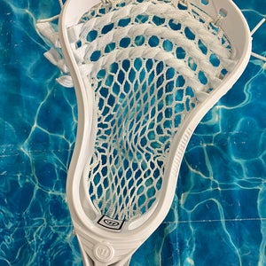 Warrior Evo Stick (New)