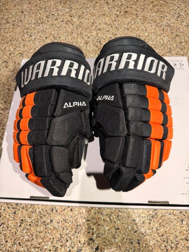 Warrior Alpha Gloves 13" (Used)