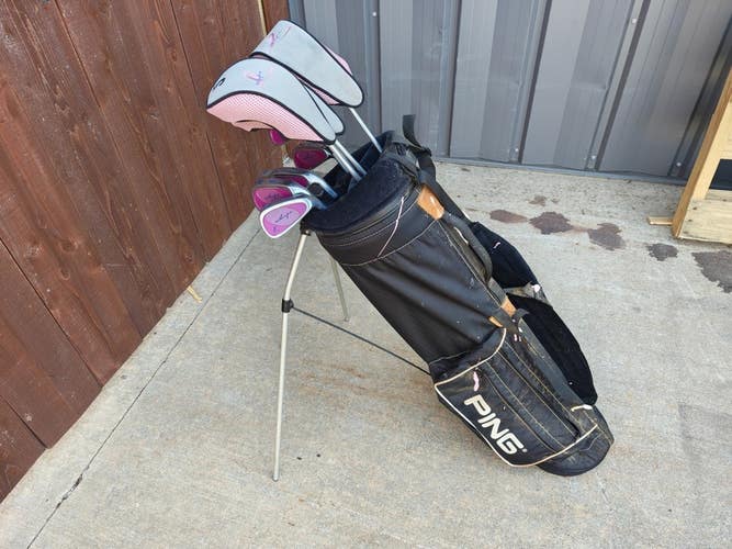 Wilson Hope Ladies 12 Piece Womens Flex Complete Golf Set Ping Stand Bag