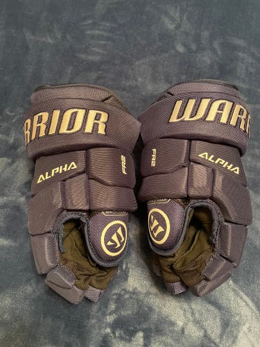 Warrior Alpha FR2 Gloves 14" (Used)