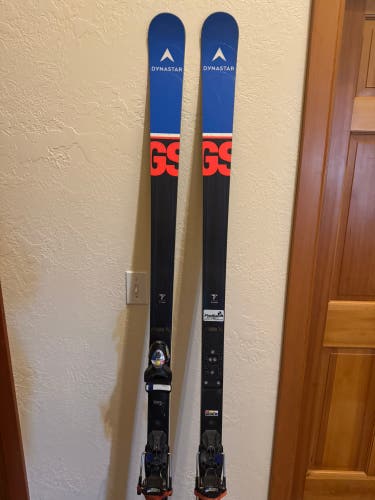 Dynastar Speed WC FIS GS 193 cm Racing Skis Without Bindings (Used)