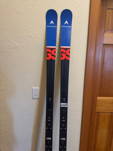 Dynastar Speed WC FIS GS 193 cm Racing Skis Without Bindings (Used)