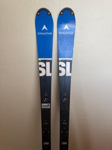 Dynastar Speed Team SL 165 cm Racing Skis Without Bindings (Used)