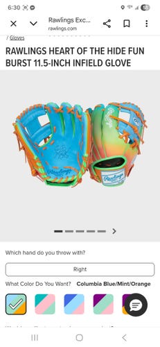 Rawlings Infield Heart of the Hide Baseball Glove (New)