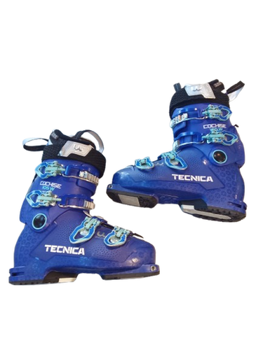Tecnica (Used) Men's Ski Boots
