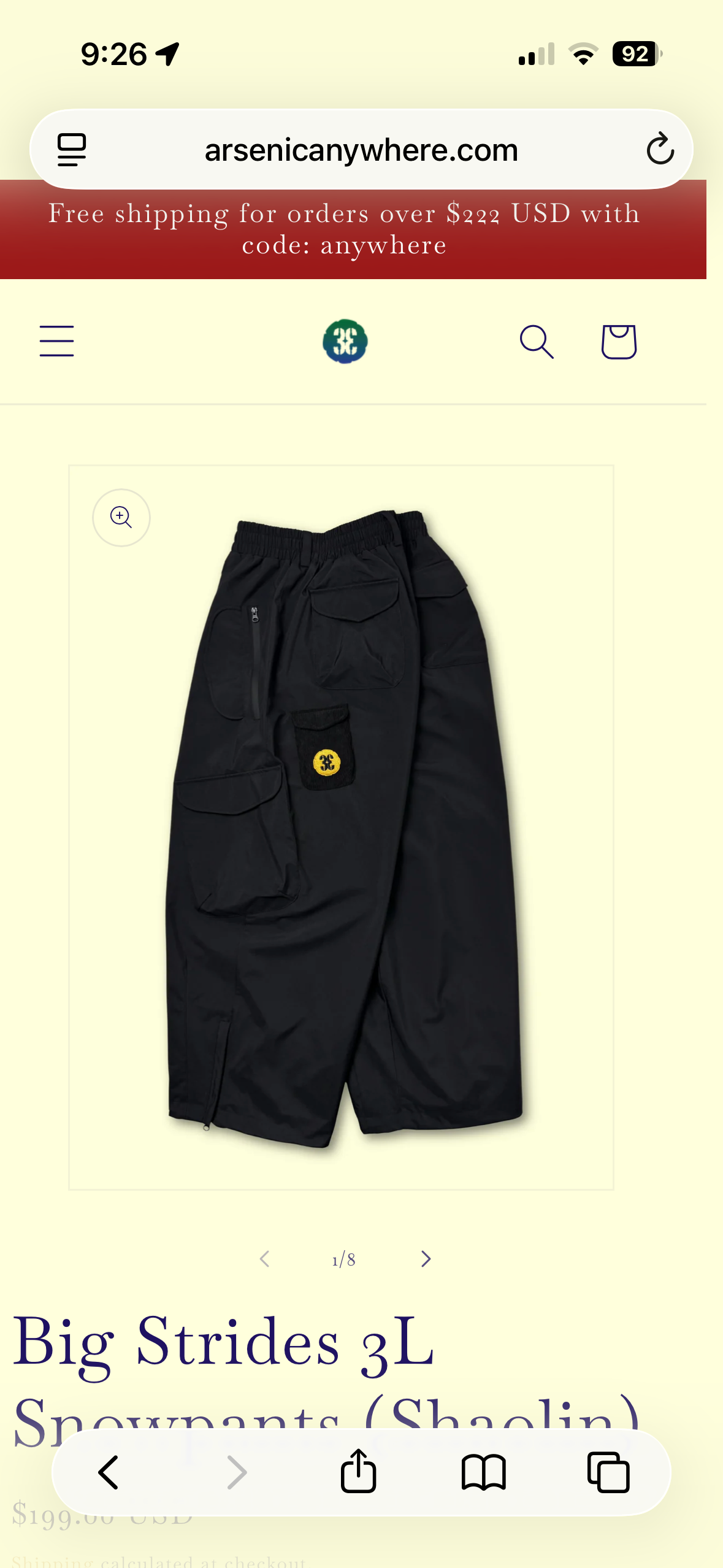 Arsenic Anywhere Big Strides 3L Snowpants (Shaolin) | SidelineSwap