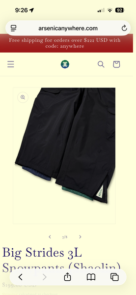 Arsenic Anywhere Big Strides 3L Snowpants (Shaolin) | SidelineSwap