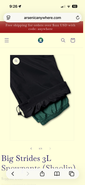 Arsenic Anywhere Big Strides 3L Snowpants (Shaolin) | SidelineSwap