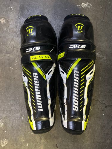 Junior Warrior Alpha DX3 12" Shin Pads (Used)