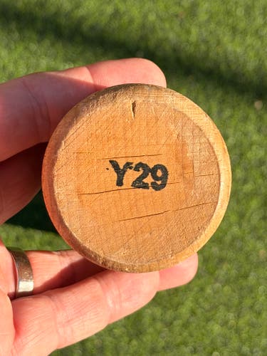 2024 CamWood Trainer Training Bat 29" (Used)