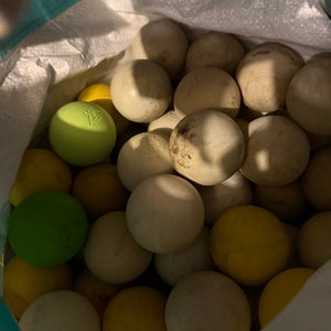 Lacrosse Ball 12 Pack (1 Dozen) (Used)
