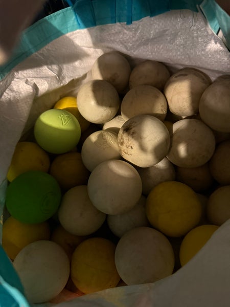 Lacrosse Ball 12 Pack (1 Dozen) (Used)