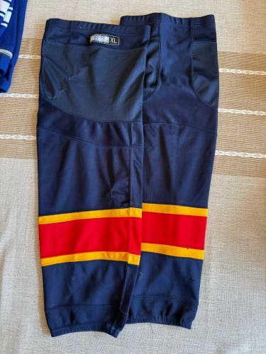 Florida Panthers Blue Pro Stock Reebok Edge Socks (Used)