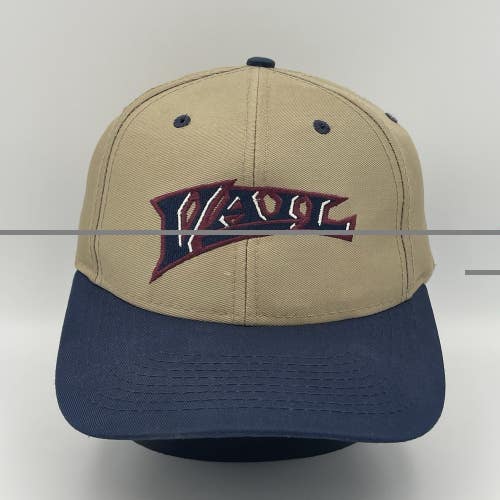 Vintage 90s Vail Colorado Ski Resort Snapback Hat Cap