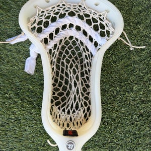 Warrior Burn Formula Head (Used)