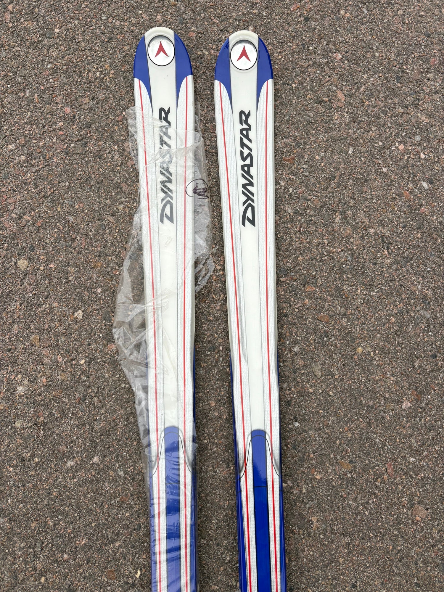 DYNASTER SPEED TEAM GS Jr 144cm 【公式通販】