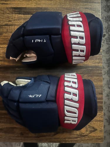 Warrior Alpha LX2 Gloves 15" Pro Stock (Used)