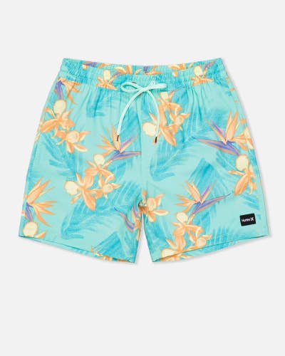 Hurley Cannonball Volley 17" Swimwear Shorts Men's Medium Tropical Mist BUU958