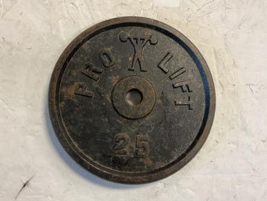 Used PRO LIFT Standard Plate (Each) Black 25 lb 11855-S000200551