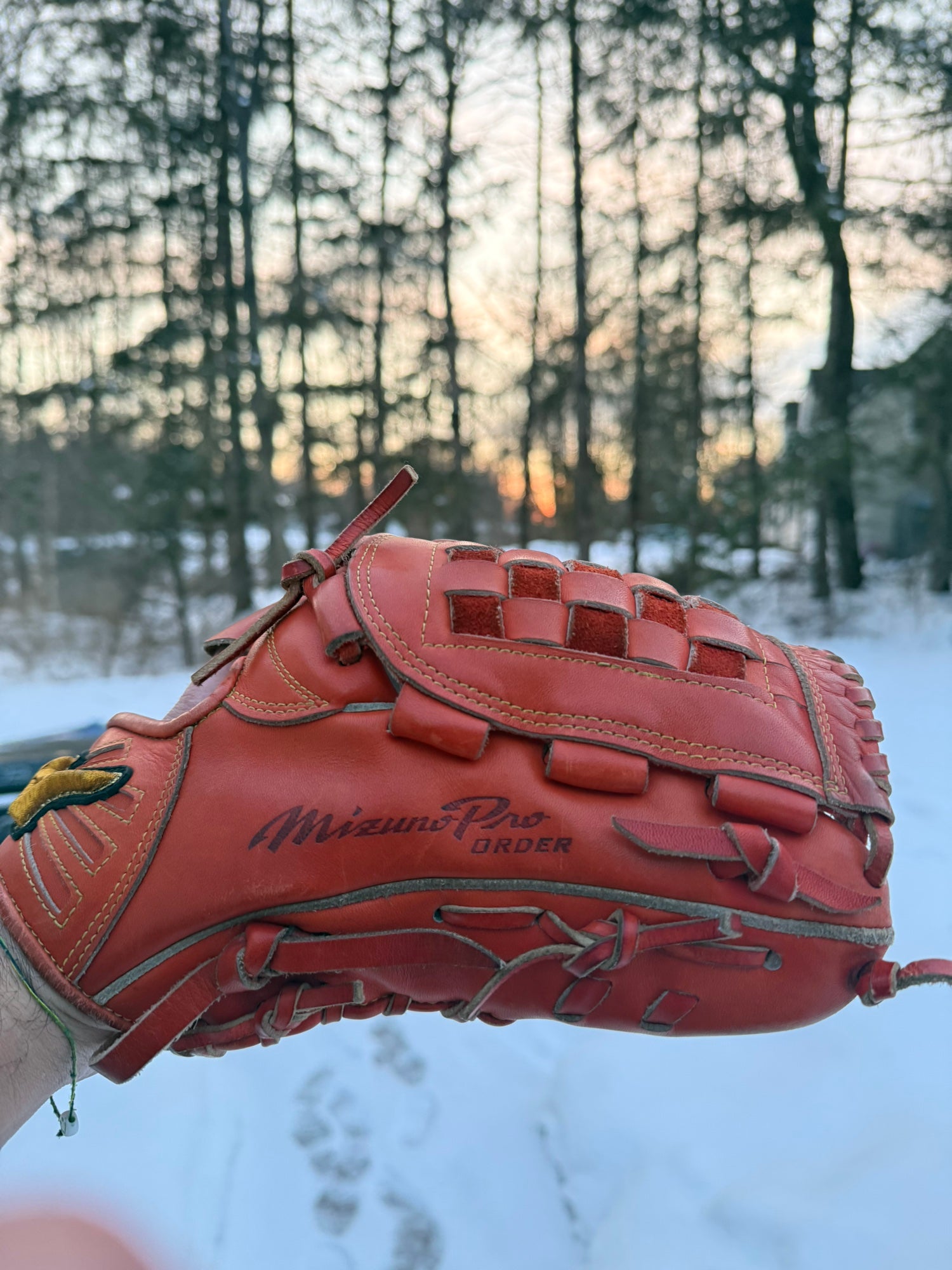 Mizuno Pro Order Haga Japan 12” Pitcher's Glove | SidelineSwap