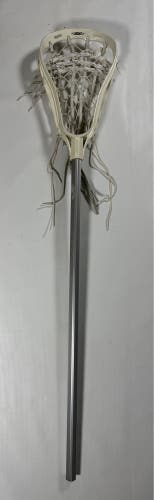 Adult Brine Dynasty Rise Complete Stick