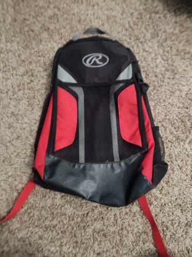 Rawlings Bat Pack (Used)