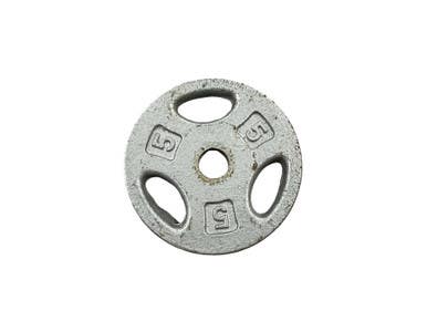 Used Standard Plate (Each) 5 lb 11347-S000266091