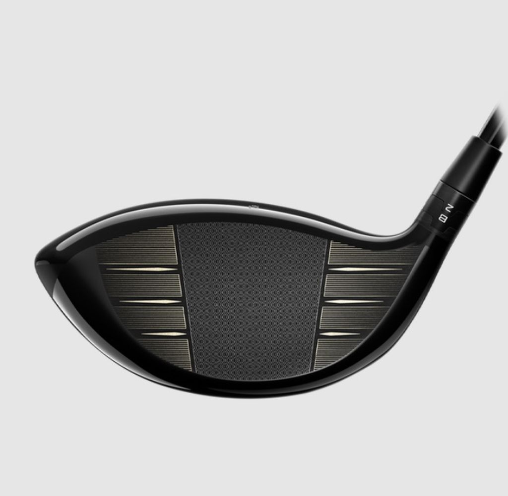 Pilote Titleist TSR2 10* régulier -0,50 Mitsubishi Tensei AV