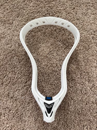 Warrior Evo 5 Unstrung Head (New)