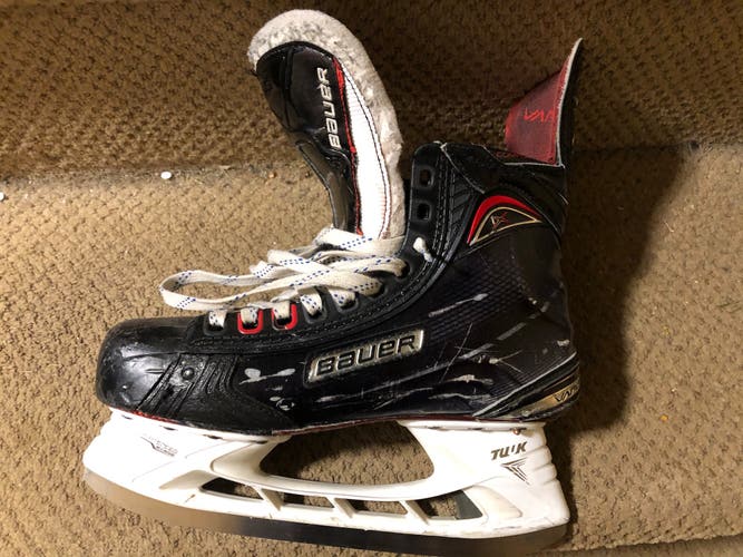 Men's Senior Large Bauer Nexus 1000 Hockey Pants (Used)