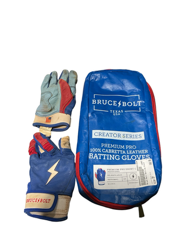 Used BB/SB Batting Gloves Royal Blue SM 11834-S000048504