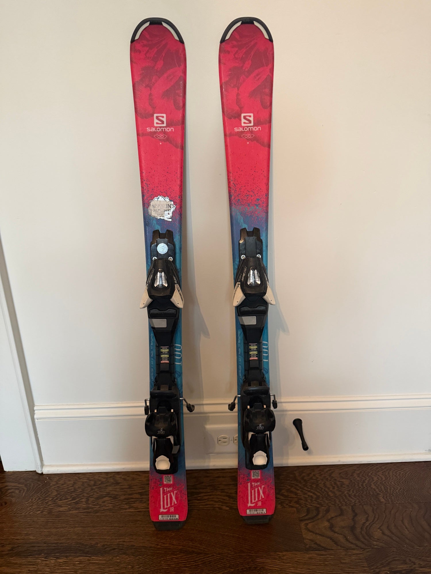 173cm Salomon QST Echo 106 Skis | SidelineSwap | Buy and Sell on