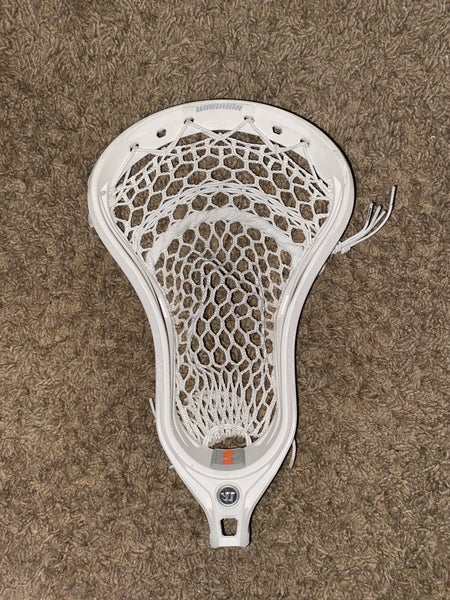 Warrior Evo QX-D Head (New)