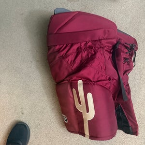 Senior XL Bauer Nexus Pro Hockey Pants (Used)