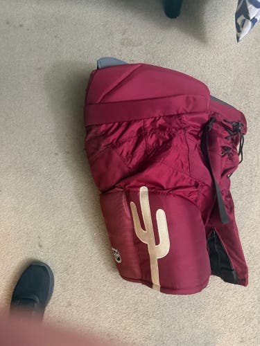 Senior XL Bauer Nexus Pro Hockey Pants (Used)