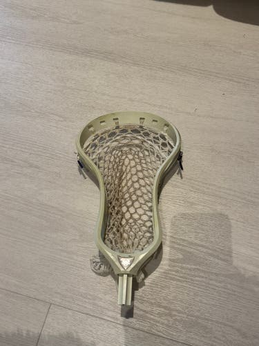 ECD Weapon X Head (Used)