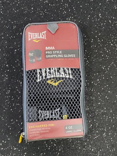 Used Everlast Martial Arts Gloves Black LG 11849-S000037950