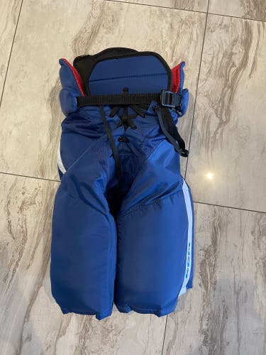 Small HP45X Toronto Maple Leafs BASICALLY NEW