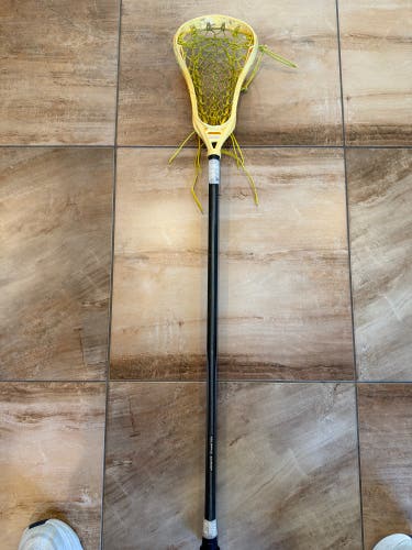 Gait Whip Stick (Used)